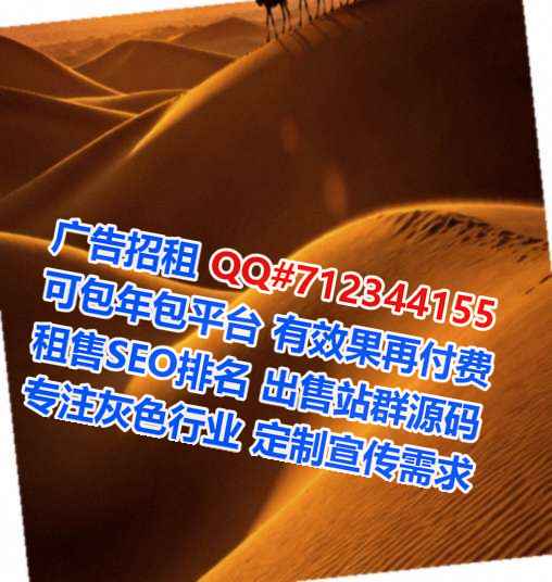 桑植试管路桥公司